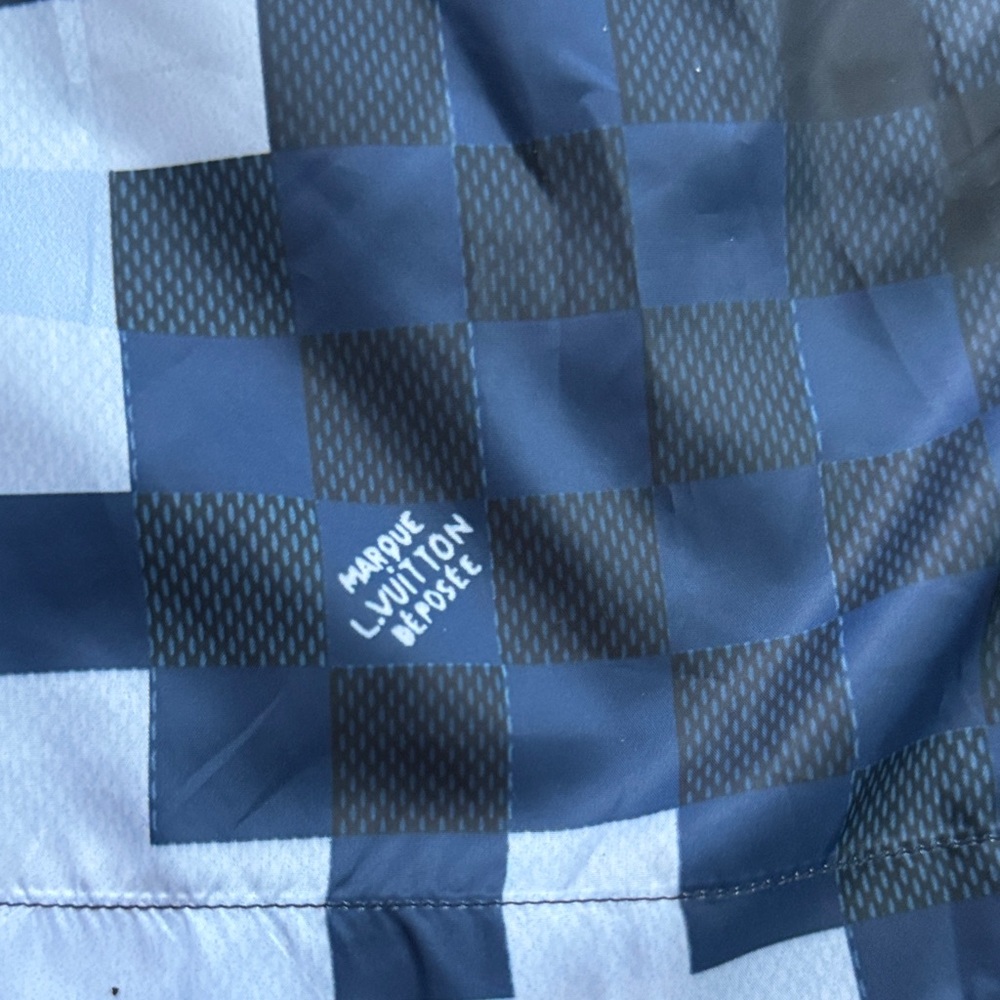 Louis Vuitton Blue Checkered Swim Trunks - Picture 3 of 16
